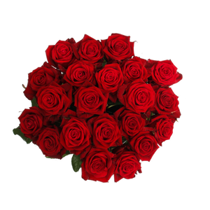 Romantic Red